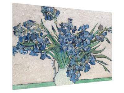 Obraz - Vincent van Gogh, Irises