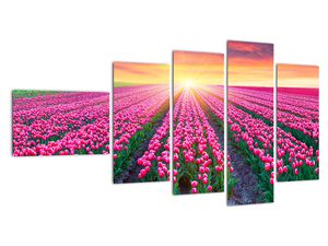 Slika polja tulipanov s soncem