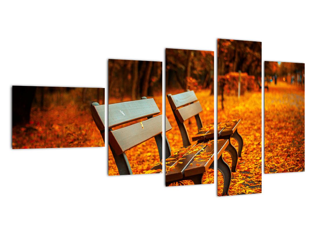 Obraz lavičky v podzimu (V020588V11060)