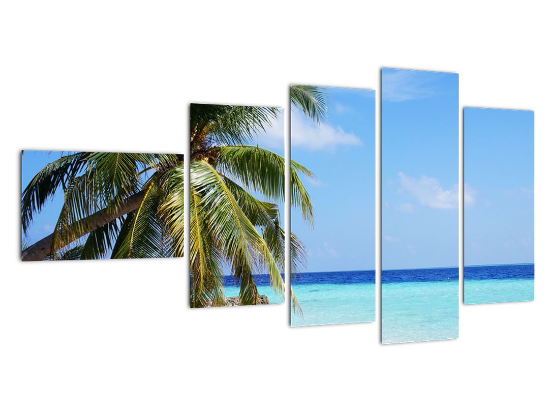 Obraz palmy na pláži (V020612V11060)