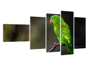 Obraz papouška na větvi