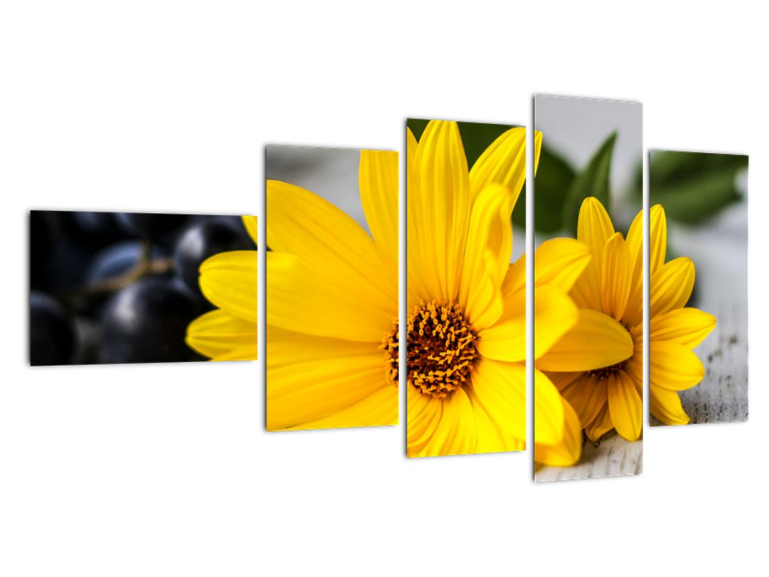 Obraz žluté květiny (V020952V11060)