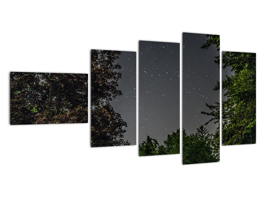 Obraz noční oblohy (V020998V11060)