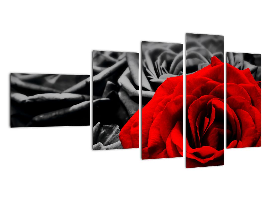 Tablou - Flori de trandafir (V021975V11060)