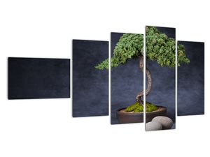 Schilderij - Bonsai