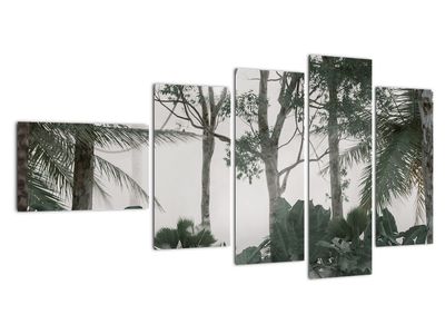Obraz - Jungle v rannej hmle