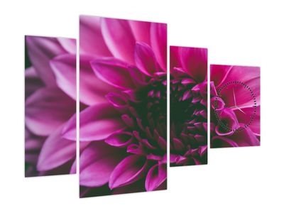 Tablou cu floarea roz (cu ceas) (V020010V11075C)