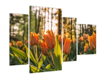 Obraz - kwiaty tulipanów (z zegarem)