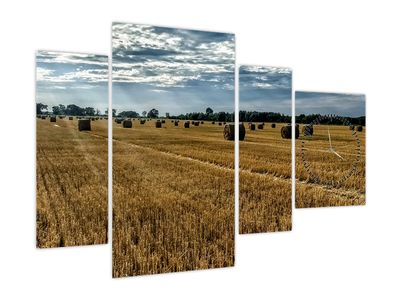 Slika požetega žitnega polja (z uro)