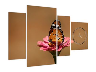 Slika metulja na roži (z uro)