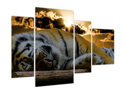 Obraz śpiącego tygrysa (z zegarem)