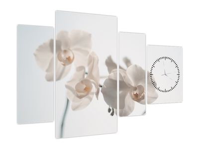 Obraz bielej orchidey (s hodinami)