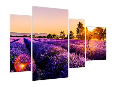 Slika polja lavande, Provence (sa satom)