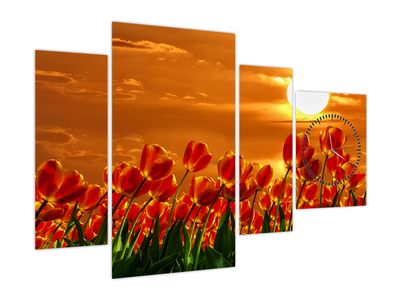 Slika cvetočega polja s tulipani (z uro)