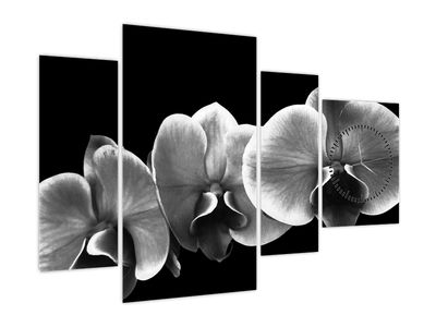 Tablou floare de orhidee (cu ceas) (V022015V11075C)