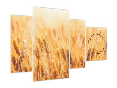 Slika - polje z žitom (z uro)