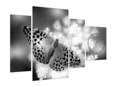 Obraz - Detail motýla opylující květ (s hodinami)