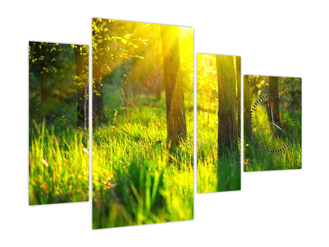 Obraz - Jarní probouzení lesa (s hodinami) (V022484V11075C)