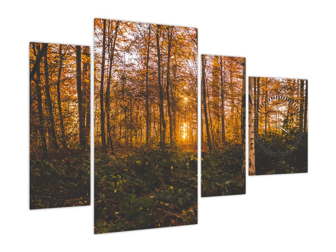Obraz podzimního lesa (s hodinami) (V022643V11075C)