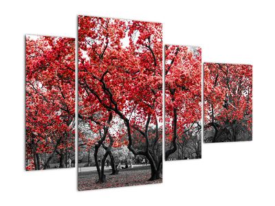 Tablou - Copacii roșii, Central Park, New York (cu ceas)