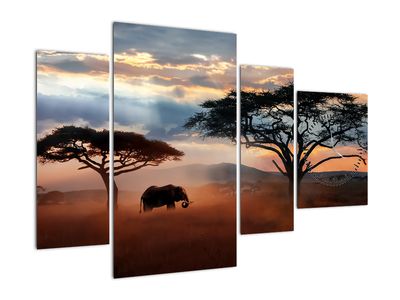 Slika - Narodni park Serengeti, Tanzanija, Afrika (z uro)