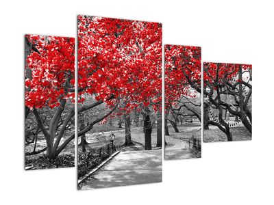 Tablou - Copaci roșii, Central Park, New York (cu ceas)