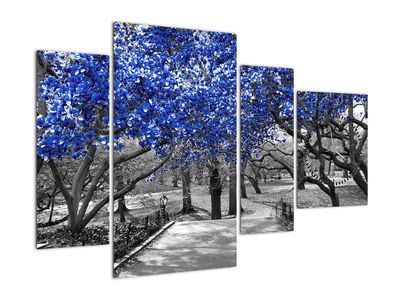 Slika - Modra drevesa, Central Park, New York (z uro)