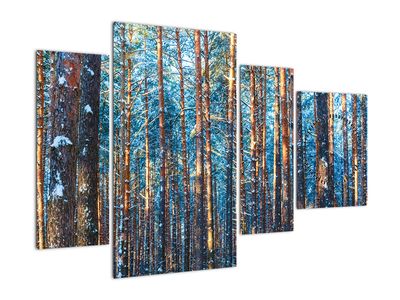 Slika - Zimski gozd (z uro)