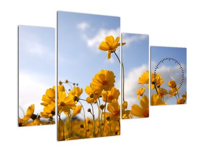 Slika polja z jasno rumenimi cvetovi (z uro)