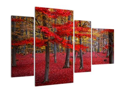Slika - Rdeči gozd (sa satom)