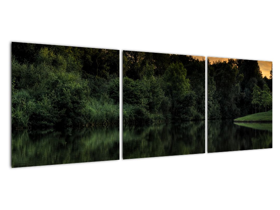 Obraz jezera u lesa (V020974V12040)