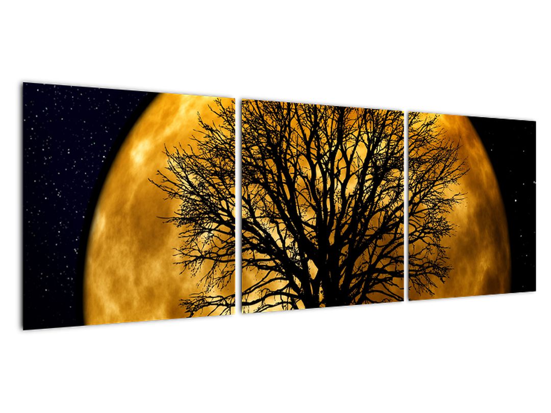 Obraz měsíce a siluet (V020995V12040)