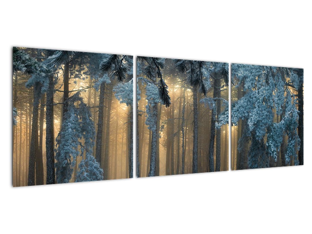 Obraz zasněženého lesa (V022318V12040)