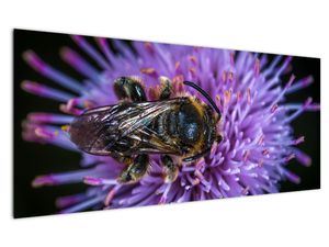 Obraz včely na květině