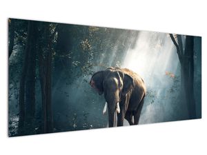 Schilderij - Olifant in de jungle