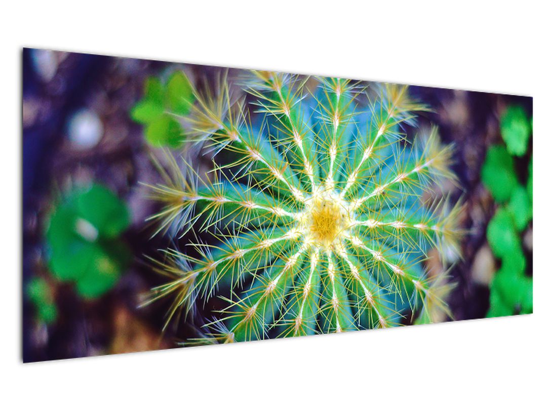 Obraz kaktusu (V020556V12050)