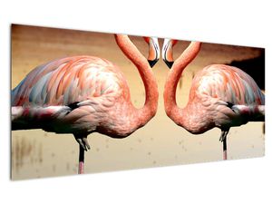 Obraz - dwa flamingi
