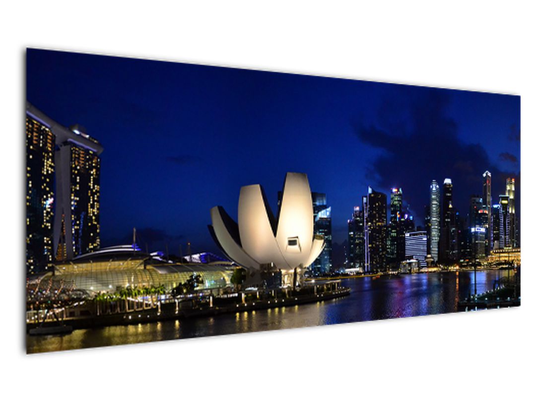 Obraz nočního Singapouru (V020610V12050)