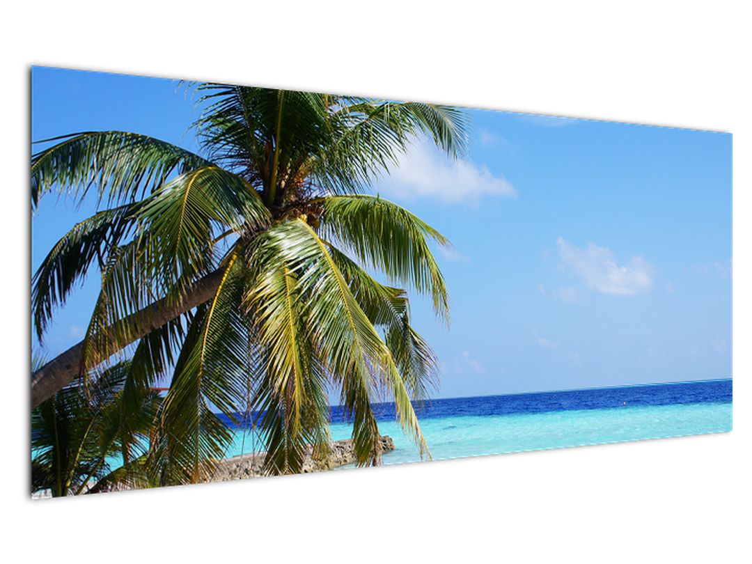 Obraz palmy na pláži (V020612V12050)