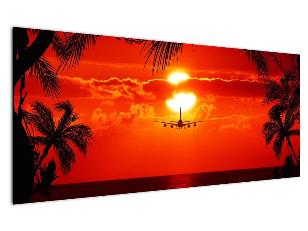 Obraz - západ slunce s letadlem (V020623V12050)