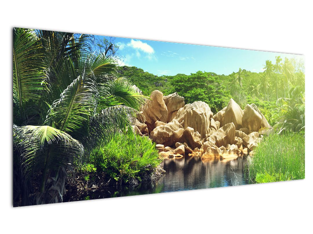 Obraz jezera v Seychelské džungli (V020651V12050)
