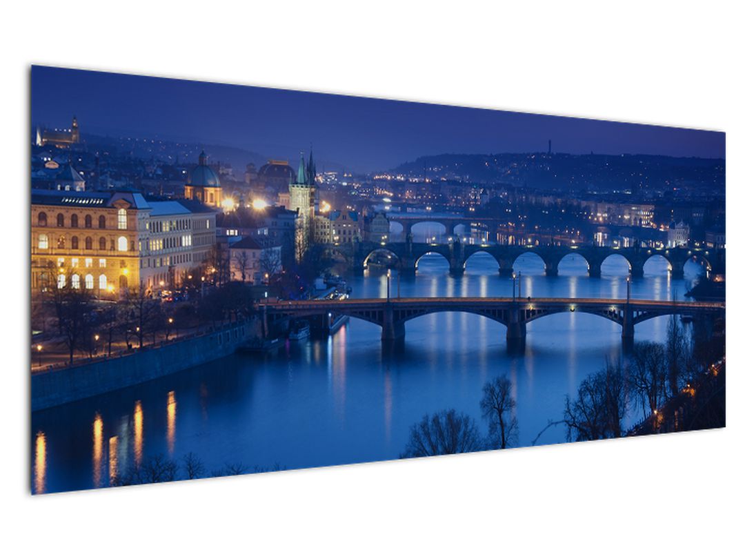 Obraz pražských mostů (V020932V12050)
