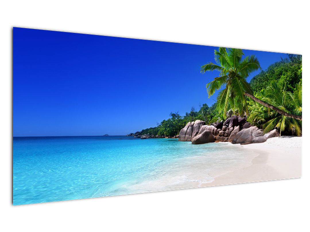 Obraz pláže na Praslin ostrově (V020936V12050)