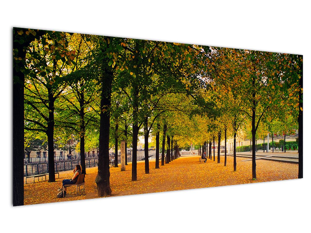 Obraz aleje podzimních stromů (V020953V12050)