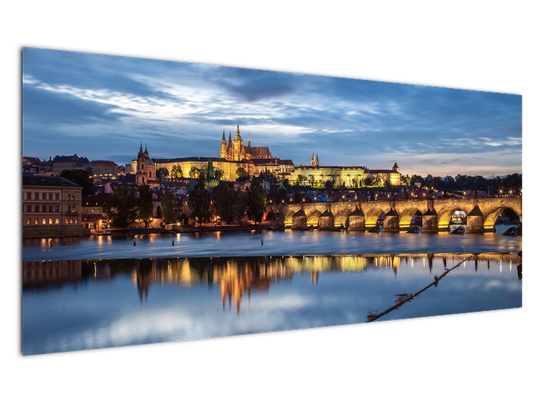 Obraz Pražského hradu a Karlova mostu (V020970V12050)