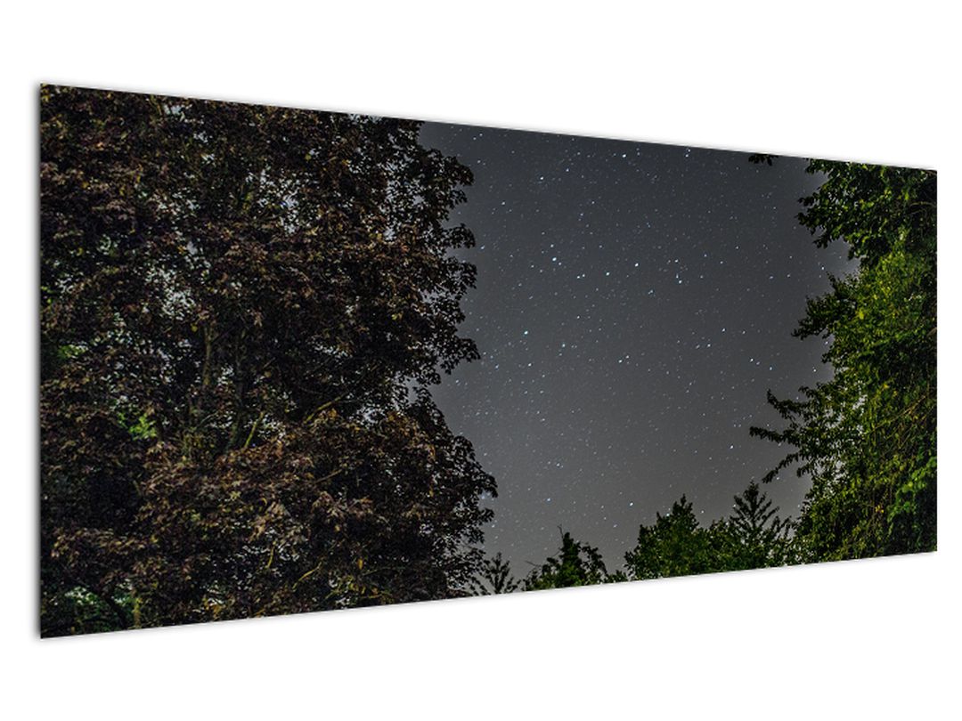 Obraz noční oblohy (V020998V12050)