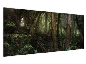 Schilderij - Mysterieus bos