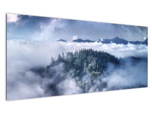 Egy erdő képe a ködben