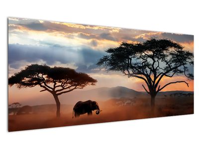 Schilderij - Nationaal park Serengeti, Tanzania, Afrika