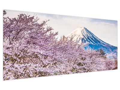 Bild auf Leinwand - Japan im Frühling